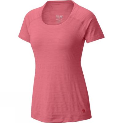 Tee Mountain Hardwear Mighty Striped Manga Corta Mujer Rosas - Chile KIL691327